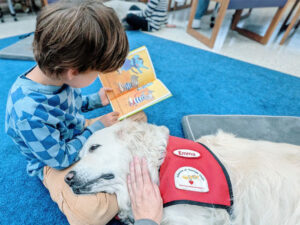 Read to a dog at the El Cerrito Library