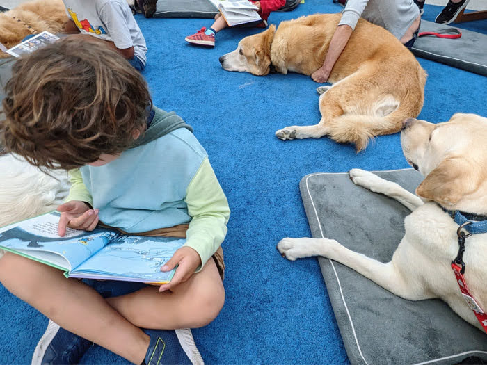 Read to a Dog program at the El Cerrito Library