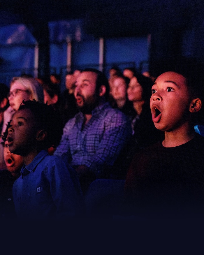 Audience at Cirque Du Soleil