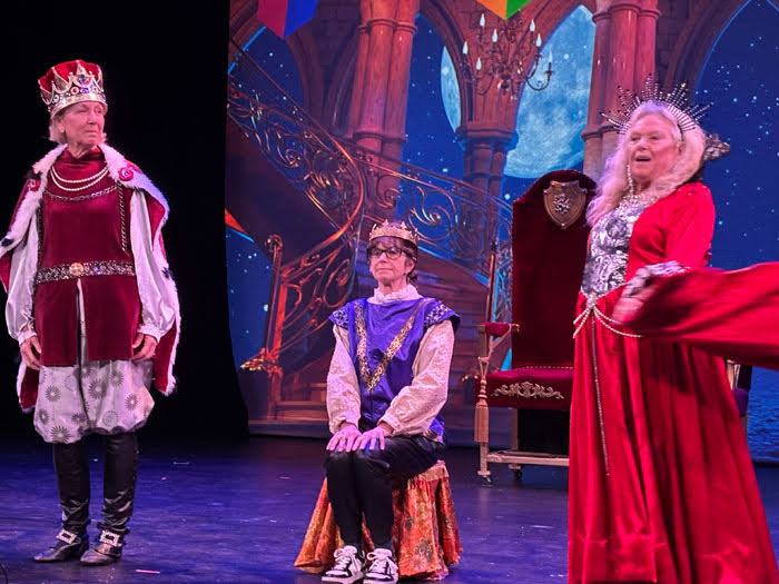 Once Upon a Mattress in San Francisco