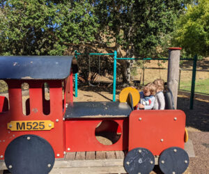 Train at Glendale La Loma Park