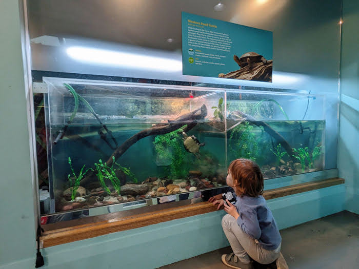 Lindsay Wildlife Experience