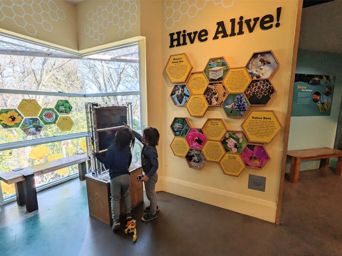 Lindsay-Wildlife-Experience