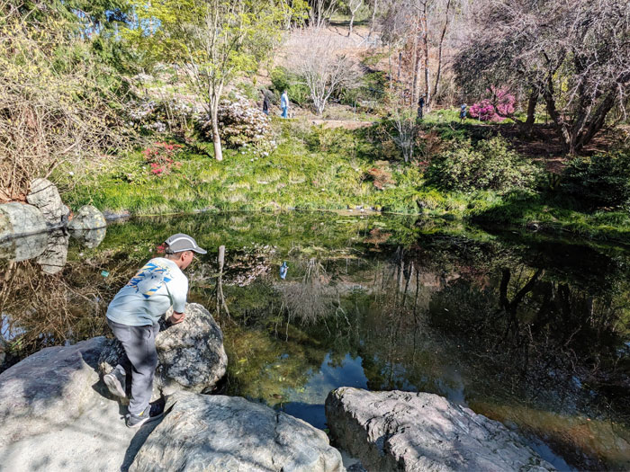 UC Botanical Garden