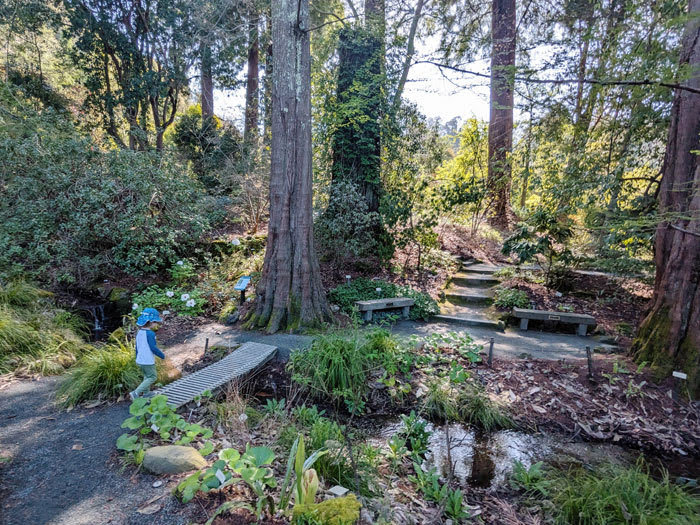Explore UC Botanical Garden