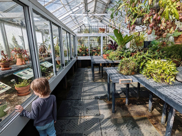 Child in greenhouse at garden
