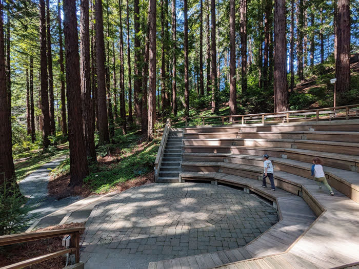 Redwood Grove Amphitheater
