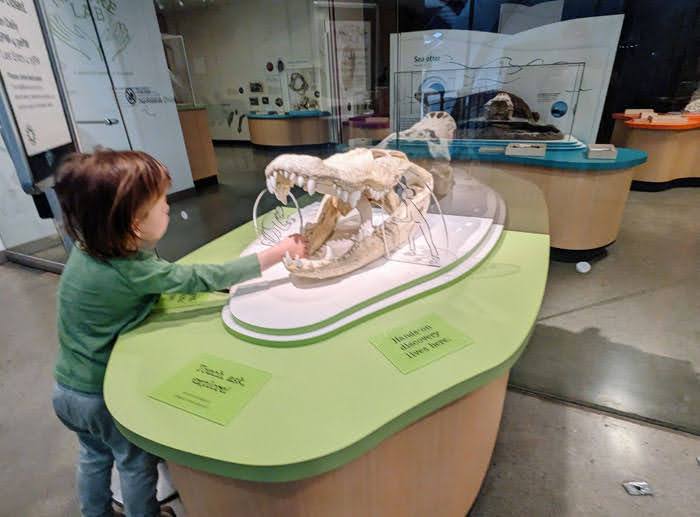 Nature Lab