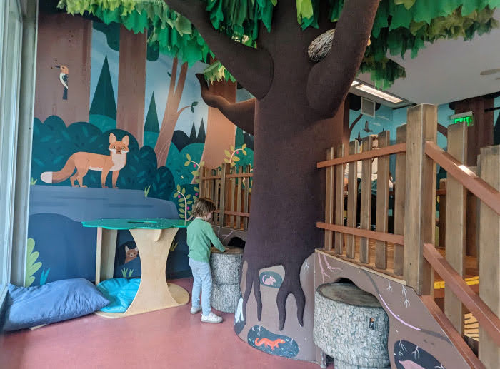 Curiosity Grove