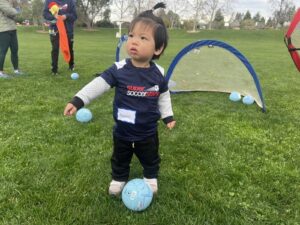 toddler with a small ball and small goal on a grassy field