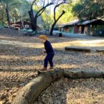 little kid balancing on a log with picnic tables and trees in the distance