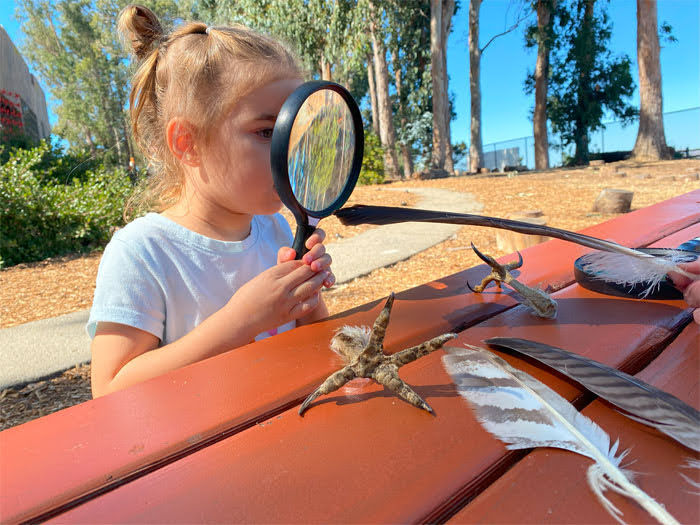 Earth Week at CuriOdyssey