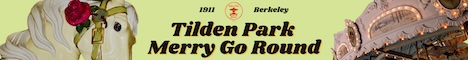 ad for carousel party