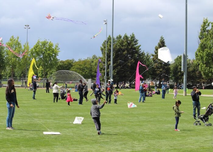 a grassy field of adults and children flying kites