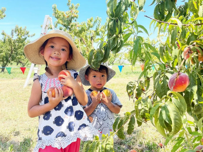 two children holding peaches in orchard cropped for size