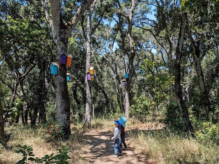 the path to the filoli playspace includes colorful birdhouses
