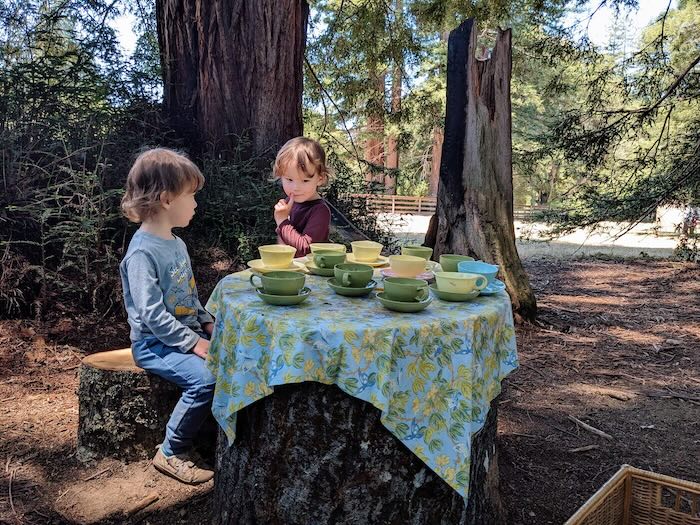 two kids have a tea party in the woods