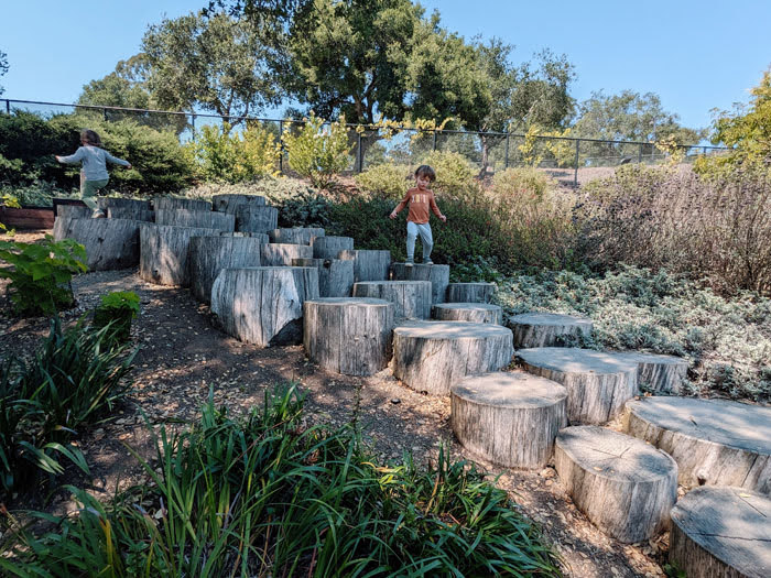 Outdoor Nature Lab at The Lawrence
