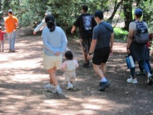 kids and adults on a nature walk in Chabot Redwoods