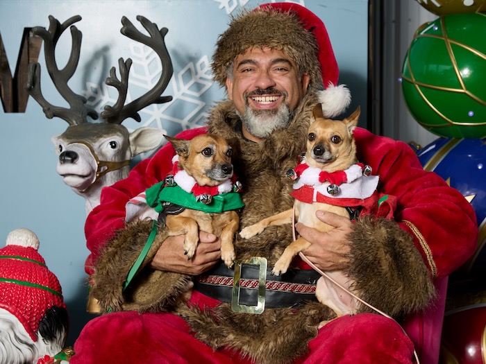 santa with dogs