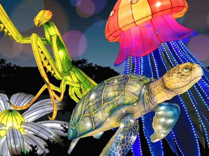 Glowfari light up displays of turtle and insect