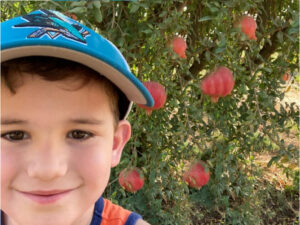 child with pomegranate bush