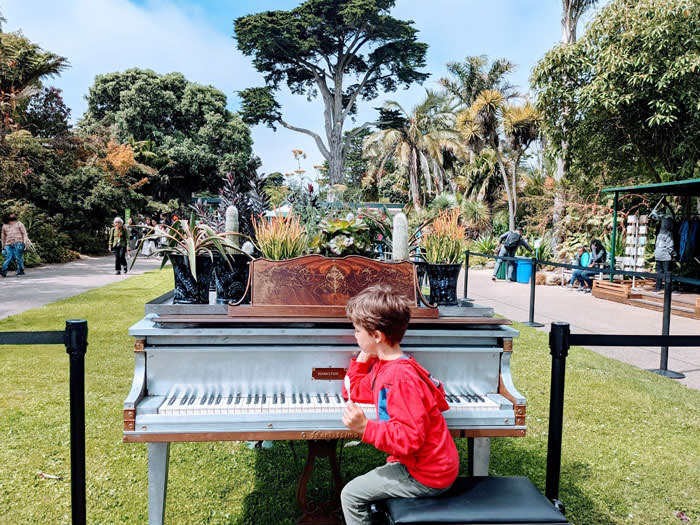 San Francisco Botanical Garden Flower Piano