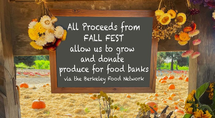 all proceeds from fall fest benefit area food banks