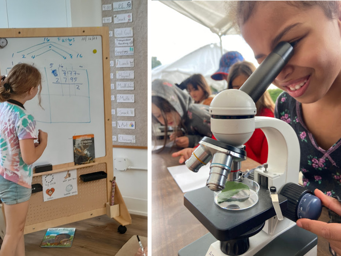 child at white board doing math, child at microscope looking at leaf