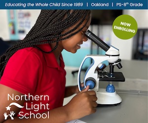 Northern Light School Ad