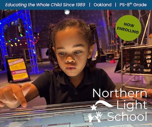 Northern Light School Ad