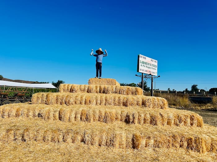 boy standing on top of hay stack pyramid