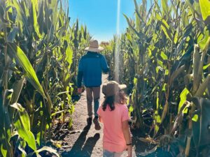 Our Petaluma Pumpkin Patch & Amazing Corn Maze Adventure - 510 Families
