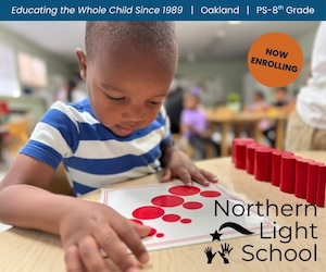 Northern Light School Ad