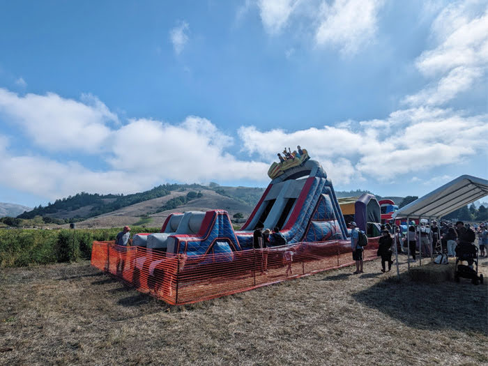 Nicasio Valley Pumpkin Patch