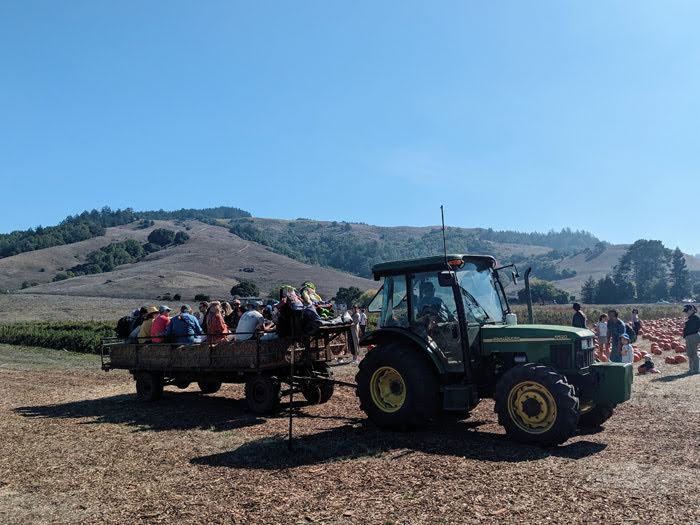 Nicasio Valley Pumpkin Patch