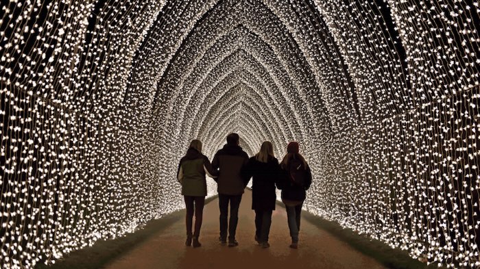 four adults walking through a tunnel of lights