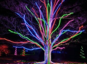 large tree lit up like rainbow subway lines