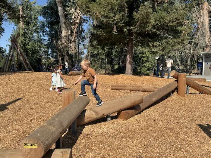 child balancing on logs