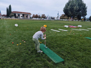 Skylinks at Buchanan Fields Golf Course