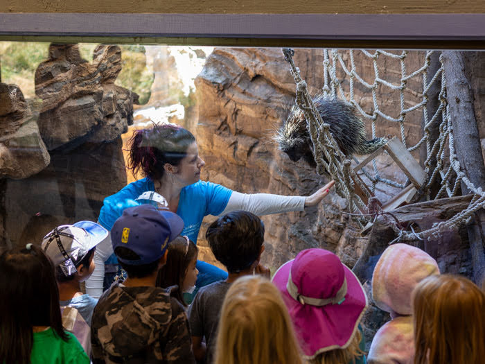 Earth Week at CuriOdyssey