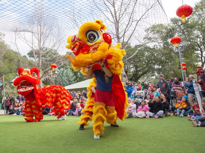 lion dance at fairyland performed by Cal VSA Lion Dance
