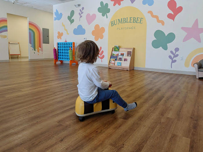 Bumblebee Playspace