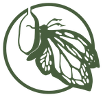 ad for sleepaway camp