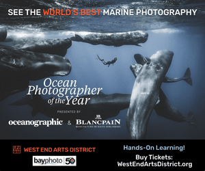 West End District ad