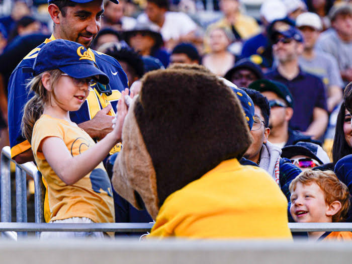 The Cal Spring Game