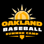 ad for baseball camp