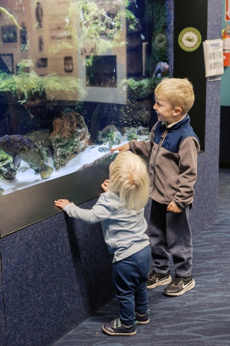 two children giggling at a fish tank enclosure