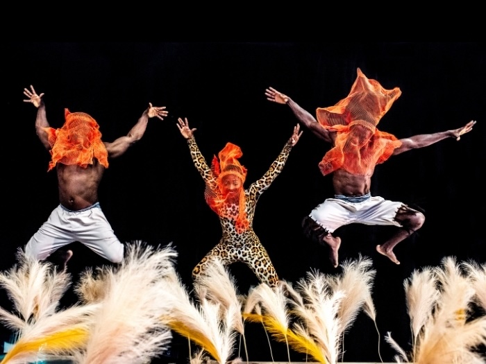 mind-blowing acrobatic sequences