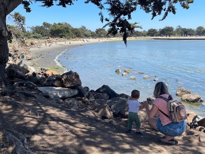 Crab Cove Coastline